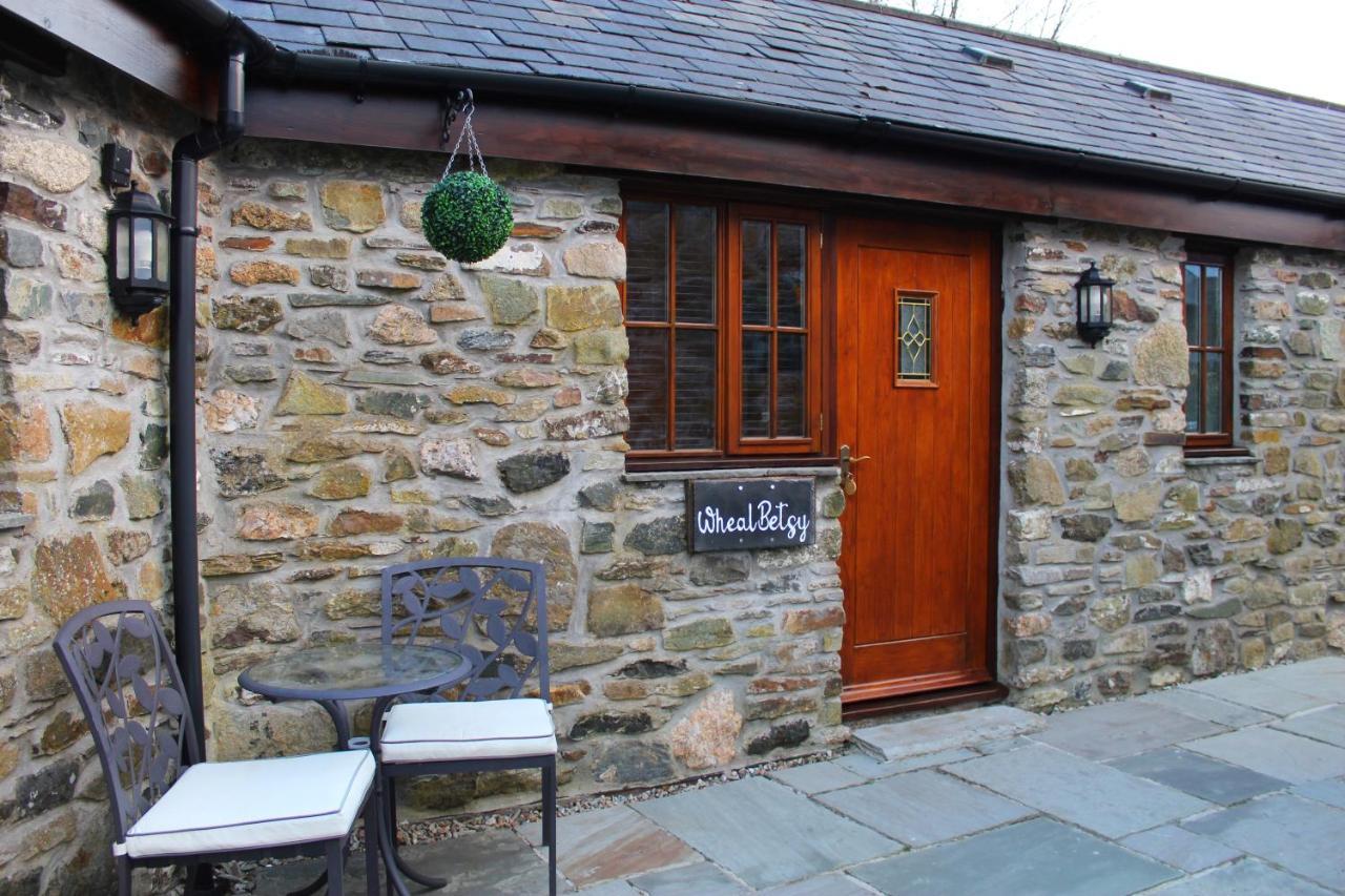 The Mary Tavy Inn Marytavy エクステリア 写真